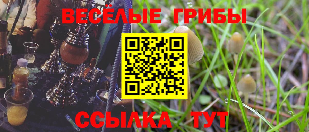 Галлюциногенные грибы MAGIC MUSHROOMS  Псилоцибиновые грибы ЛСД  Вход с VPN  Великие Луки 