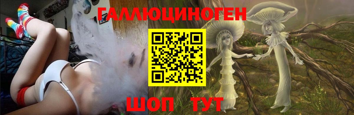 Галлюциногенные грибы Psilocybine cubensis Великие Луки